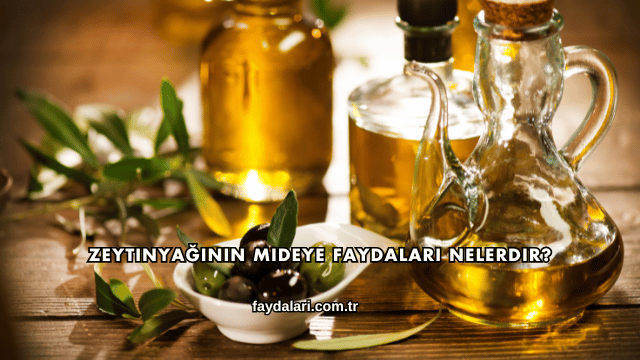 Zeytinyağının Mideye Faydaları Nelerdir?