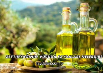 Zeytinyağının Vücuda Faydaları Nelerdir?