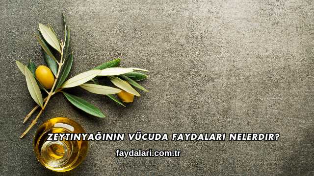 Zeytinyağının Vücuda Faydaları Nelerdir?