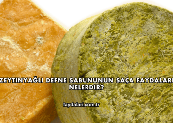 Zeytinyağlı Defne Sabununun Saça Faydaları Nelerdir?