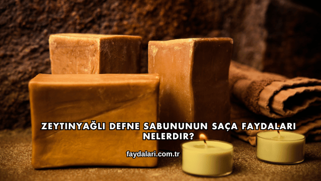 Zeytinyağlı Defne Sabununun Saça Faydaları Nelerdir?