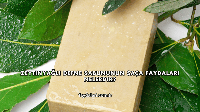 Zeytinyağlı Defne Sabununun Saça Faydaları Nelerdir?