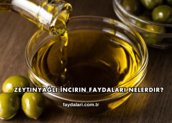 Zeytinyağlı İncirin Faydaları Nelerdir?