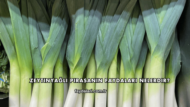 Zeytinyağlı Pırasanın Faydaları Nelerdir?