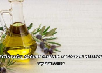 Zeytinyağlı Yoğurt Yemenin Faydaları Nelerdir?