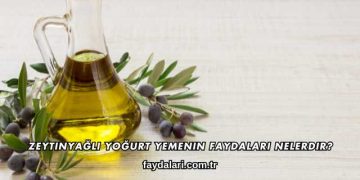 Zeytinyağlı Yoğurt Yemenin Faydaları Nelerdir?